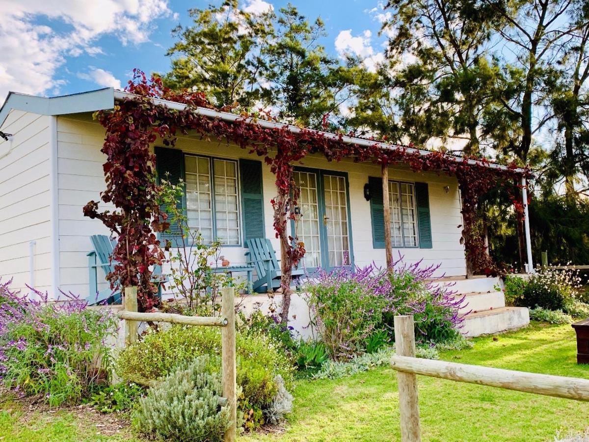 Cheverells Farm Grabouw Ngoại thất bức ảnh