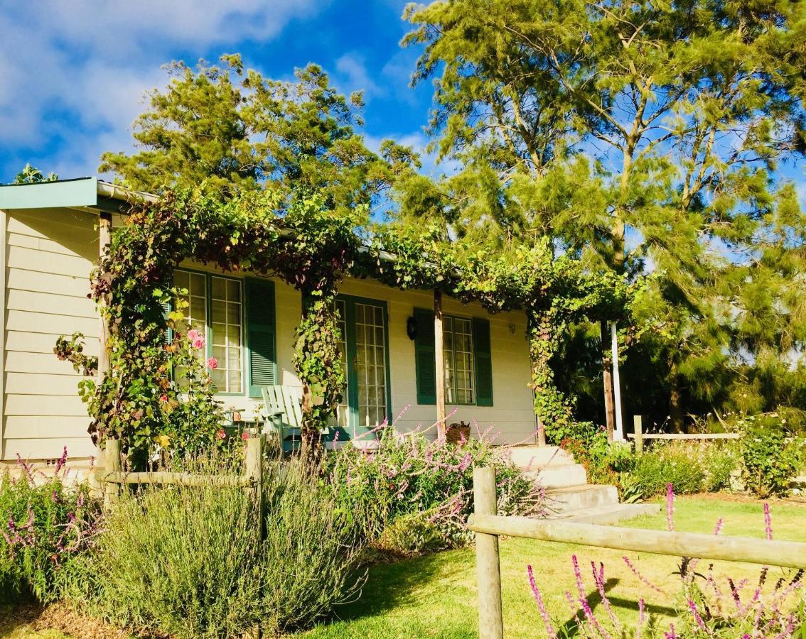 Cheverells Farm Grabouw Ngoại thất bức ảnh
