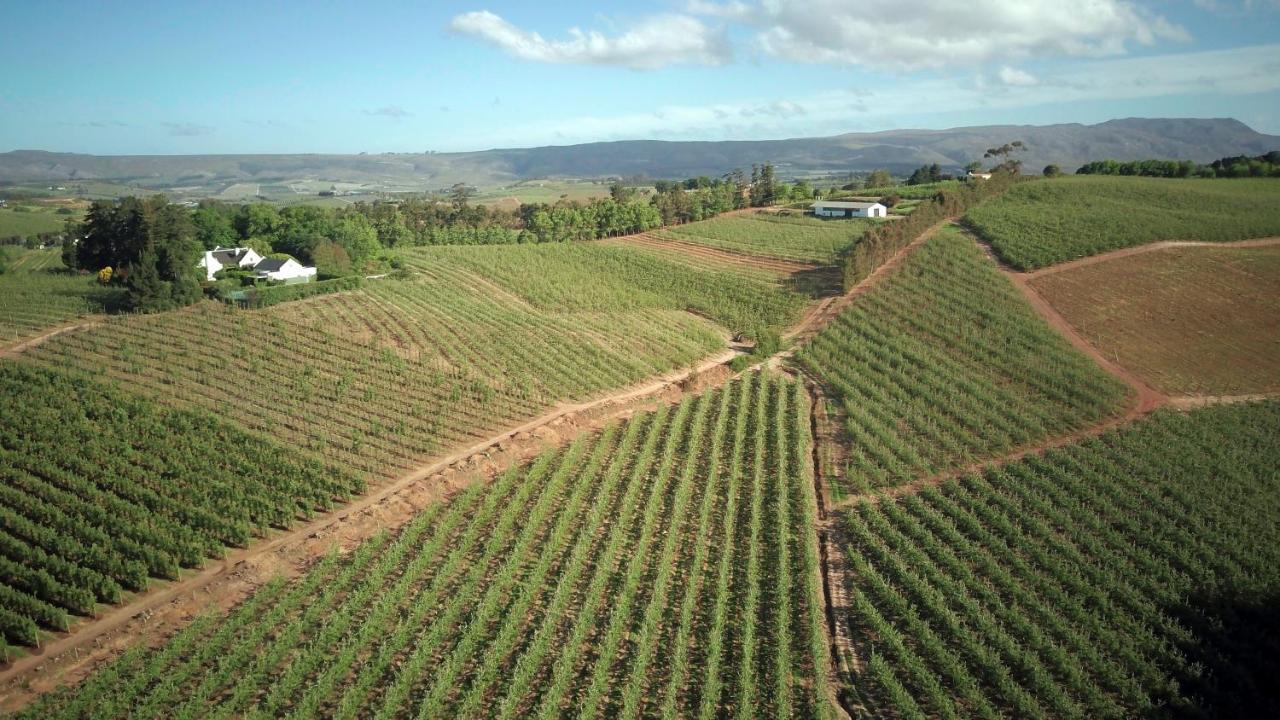 Cheverells Farm Grabouw Ngoại thất bức ảnh