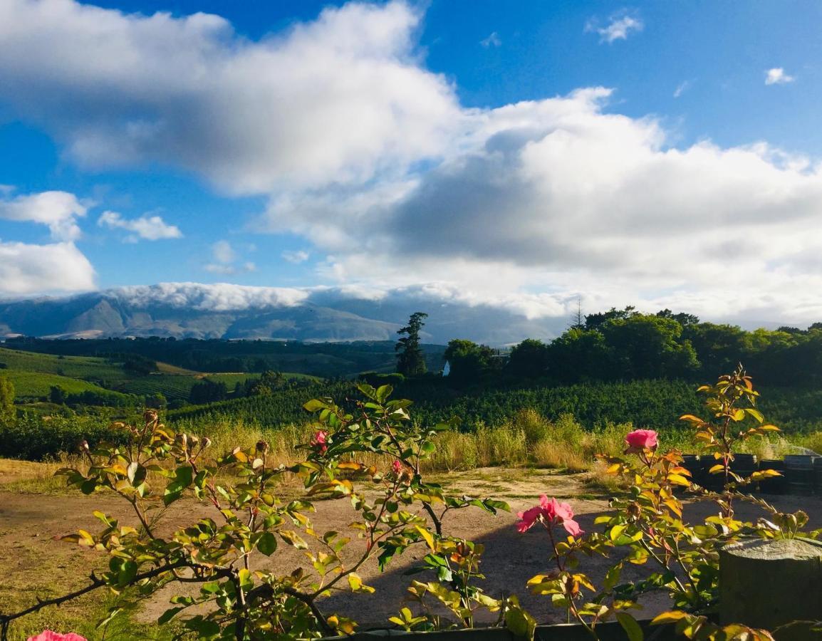 Cheverells Farm Grabouw Ngoại thất bức ảnh