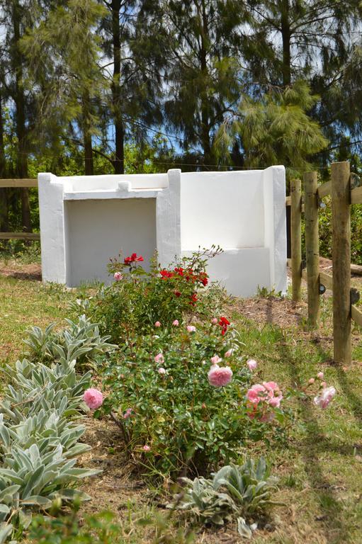 Cheverells Farm Grabouw Ngoại thất bức ảnh