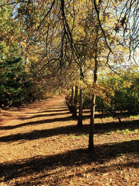 Cheverells Farm Grabouw Ngoại thất bức ảnh